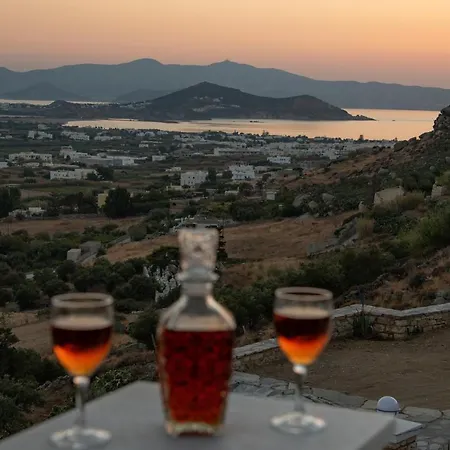 Appart hôtel Alta Vista Naxos Agkidia