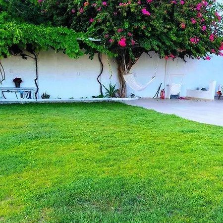 Appart hôtel Alta Vista Naxos Agkidia