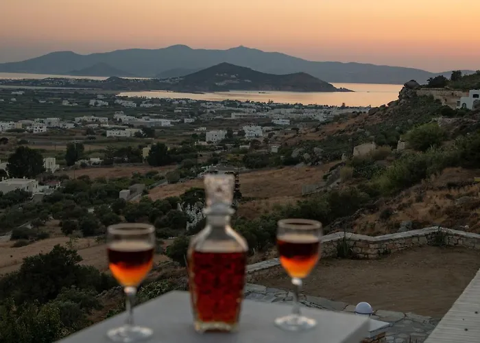 Apart Otel Alta Vista Naxos Agkidia